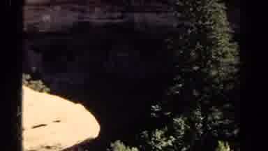 Colorado US (1967): Pine Trees In A Mountain Area