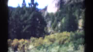 Colorado USA (1967): Looking Down Mountain Side At Trees Plants River Rapids Rocks