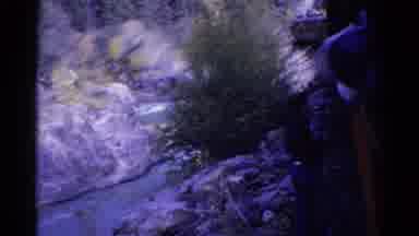 Colorado USA (1967): Train Engraved In Natural Space With Trees Vegetation And