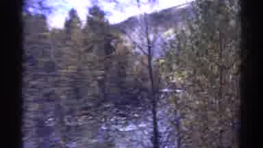 Colorado USA (1967): Running View Of Train Tracks Besides Shallow Mountain Forest
