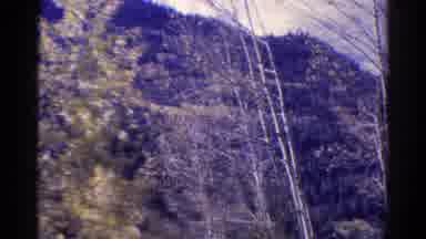 Colorado USA (1967): Scenic View Of Trees And A Railway Track Filmed From A Car