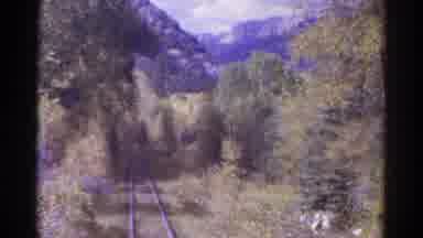 Colorado USA (1967): Train Moving Along Old Tracks Through Dense Overgrown Forest