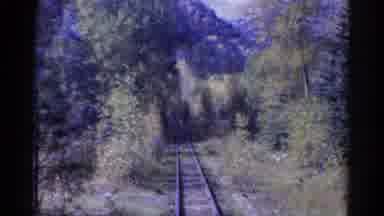 Colorado USA (1967): Train Tracks In A Wooded Area