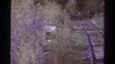 Colorado USA (1967): Old Damaged Footage Of An Empty Railway Line In The Forest
