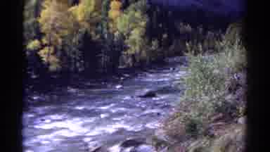 Colorado USA (1967): Lovely Views Of The Rushing Rivers Cutting Through The Trees
