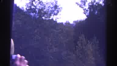 Colorado USA (1967): A Beautiful Creek With Rocks And Water Surrounded By Trees