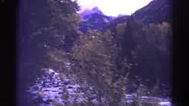 Colorado USA (1967): A Flowing Creek With Rocks And Trees On Both Sides Of The
