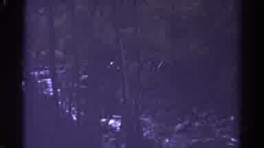 Colorado USA (1967): Fast Meandering River With Trees Covering The Area In The