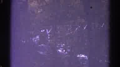 Colorado USA (1967): A Beautiful River Is Running Amid A Thick Forest On A Sunny