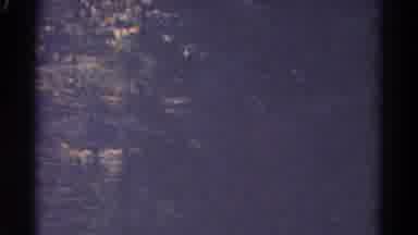 Colorado USA (1967): A Lot Of Trees And Sun It Looks Nice A Lot Of Tall Trees
