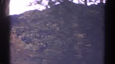 Colorado USA (1967): Driving By The Woods And Taking In The Views Of The Green