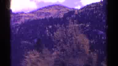 Colorado USA (1967): Trees On The Side Of A Mountain