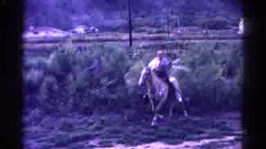 Colorado USA (1967): Urban Cowboy Rides Beautiful And Big Palomino Horse Near