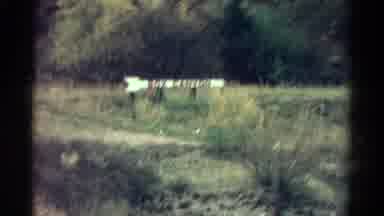 Colorado USA (1967): A Lot Of Different Sign With Some Dead Grass And Different