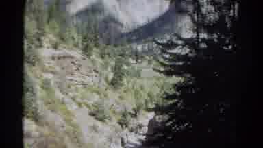 Colorado USA (1967): Rocky Forest With Pine Trees And The Camera Moving A Lot