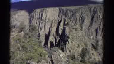 Colorado USA (1967): Long Stems Trees In The Mountains And Valleys Beautiful