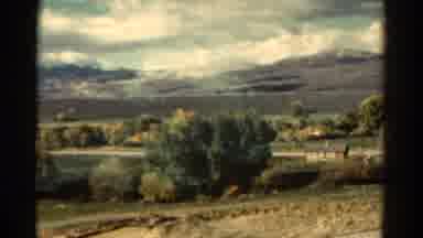 Colorado USA (1967): Footage Of Bushes And Foliage With Mountains In The