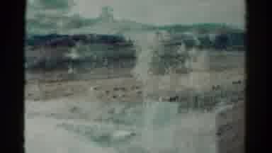 Colorado USA (1967): Big Pine Trees With A Path And The Reflection Of A Fenced Dry