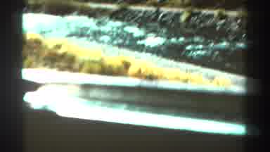 Colorado USA (1967): Video Taken From A Vehicle Of A Stream Next To A Road