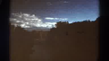 Colorado USA (1967): Driving By A Forest With A River And Many Trees