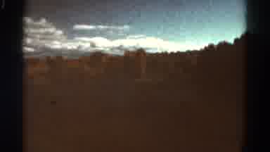 Colorado USA (1967): Old Footage Of Trees In The Countryside Filmed From A Slow