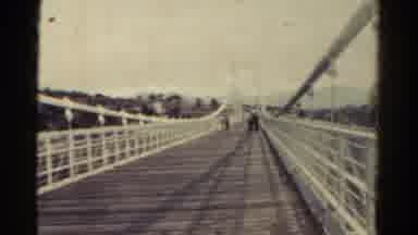 Colorado USA-1967: White Bridge and Deer Eating Vegetables on Roadside