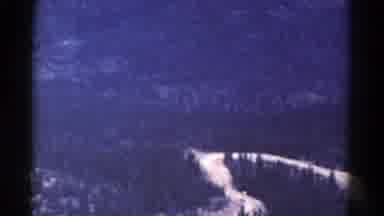 Colorado USA (1967): Very Beautiful Forest With Tall Trees And A Very Large River