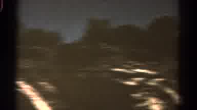 Colorado USA (1967): View Of A Forest In The Mountains In Summer