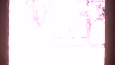 Colorado USA (1967): Landscape With Vegetation And Burst Light With Brief Images