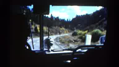Colorado USA (1967): The Tour Bus Entered The National Forest For An Afternoon Of