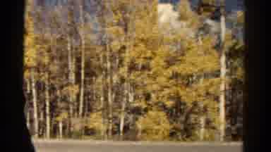 Colorado USA (1967): Tour Bus Transportation Taking In The Scenery Of The Cyprus