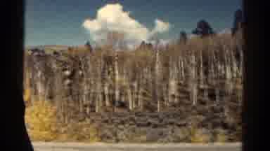 Colorado USA (1967): Old Film Of People Driving In Car Looking At Trees And Desert