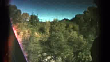 Colorado USA (1967): Scenic Countryside View Of A Lake Filmed Between The Trees