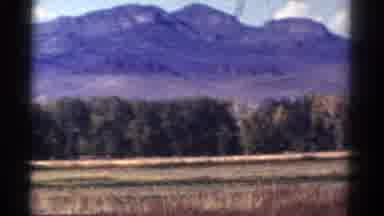 Colorado USA (1967): A Large Mountain Range With A Forest In The Foreground On A