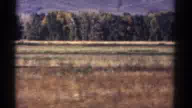 Colorado USA (1967): Countryside View Of Mountains Trees And Fields Filmed From A