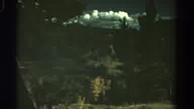 Colorado USA (1967): Forest Beneath Fluffy Clouds Mountains Showing Emerald Grass