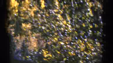 Colorado USA (1967): Looking Over Ledge Of Mountain Or Hill Down At Trees Below