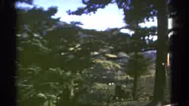 Colorado USA (1967): Journey To The Forest With A View Of The Trees And Nature