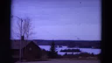 Detriot Michigan (1967): Old Film Of House And Lake With Tree And Islands
