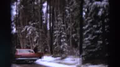 Detriot Michigan (1967): Pines In The Winter