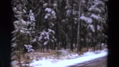 Detriot Michigan (1967): Hilly And Curvy Road In Snow Covered Tree Forest