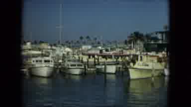 Florida (1967): Many Boats In The Bay One Boat Going Out Into The Water With A