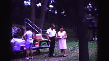 Galena Illinois USA (1967): Group Of People Attending A Picnic At A Public Park