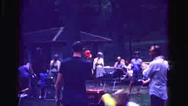 Galena Illinois USA (1967): A Family Gathering Playing Games Like Dodgeball And