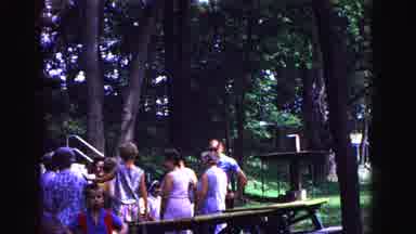 Galena Illinois USA (1967): Group Of Men Women And Children At A Park Talking