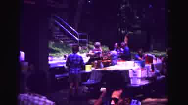 Galena Illinois USA (1967): Party In The Woods