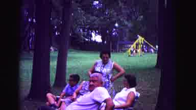 Galena Illinois USA (1967): Family Picnic At The Local Park With The Children