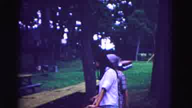 Galena Illinois USA (1967): Lady And Family Gathering Table Prep In A Park With