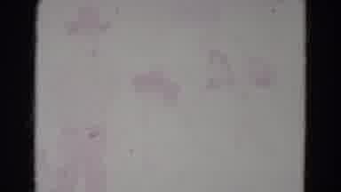 Lincoln Nebraska (1967): Two Girls And A Boy Dressed Up Pose For Video Splits To