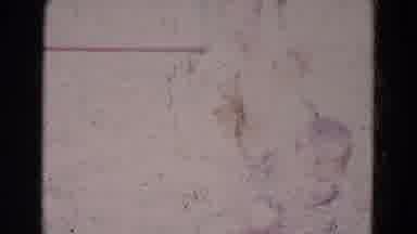 Lincoln Nebraska (1967): Two Young Boys Playing On Old Swings Next To Each Other